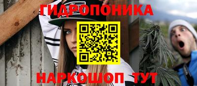 шишки Нягань